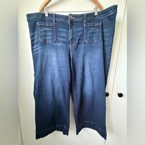 CJ Banks 22W Dark Wash Straight Leg Jeans | PNW Cozy Everyday Denim